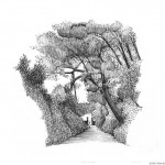 Illustrations jardins nantais - Jardin des Oblates - Allée de pins